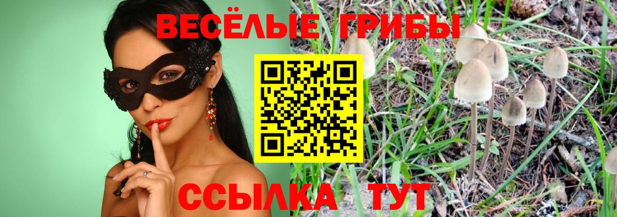 Петрозаводск  Псилоцибиновые грибы мицелий  Вход с VPN 